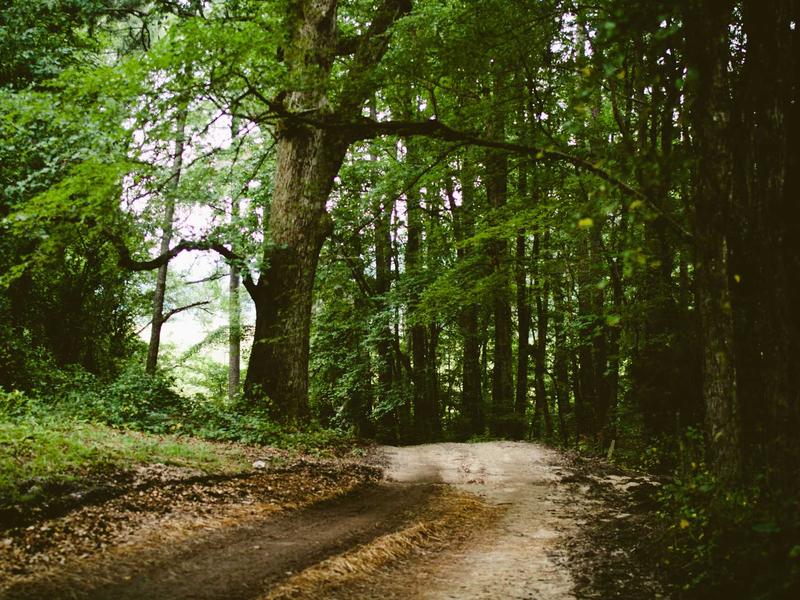 sudoku puzzle game screenshot 1